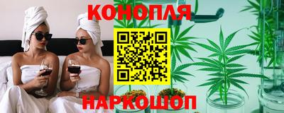 ALPHA PVP Ачхой-Мартан