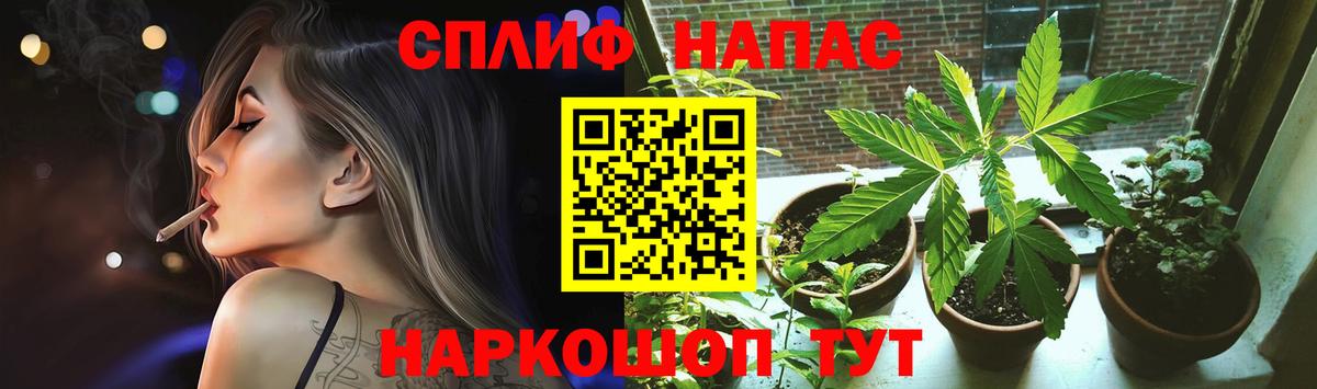 Шишки марихуана марихуана Асино
